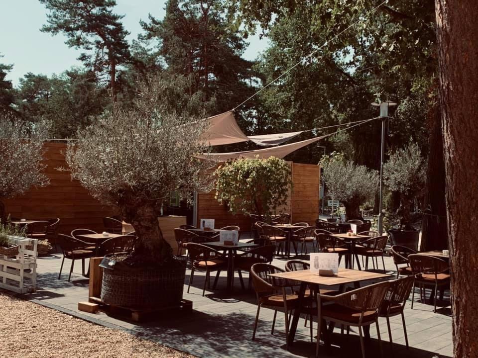 Bospark De Brenkberg Schinveld Eksteriør bilde