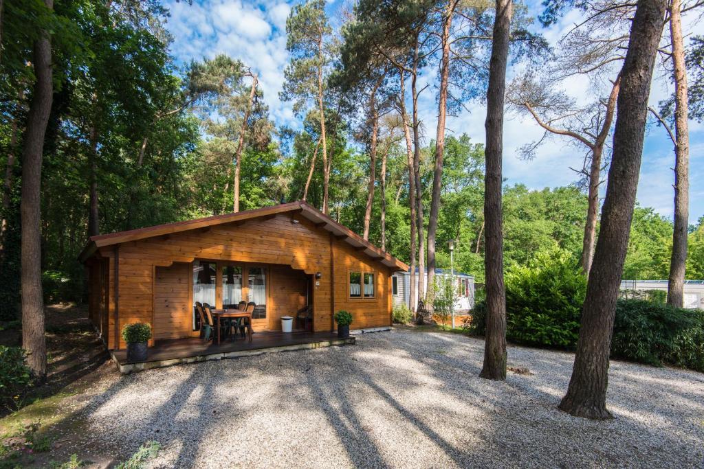 Bospark De Brenkberg Schinveld Rom bilde